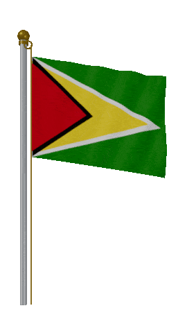 Guyana Hold Pole animated flag GIF
