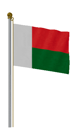 Madagascar Hold Pole animated flag GIF