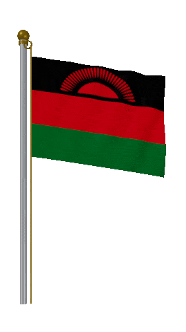 Malawi Hold Pole animated flag GIF