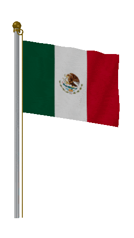 Mexico Hold Pole animated flag GIF