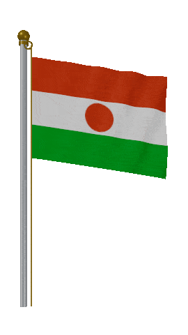 Niger Hold Pole animated flag GIF
