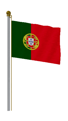 Portugal Hold Pole animated flag GIF