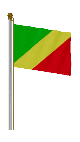 Republic Of The Congo Hold Pole animated flag GIF