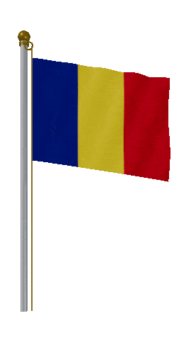 Romania Hold Pole animated flag GIF