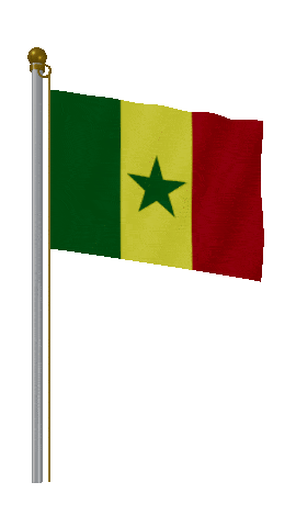 Senegal Hold Pole animated flag GIF