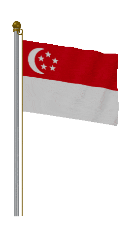 Singapore Hold Pole animated flag GIF