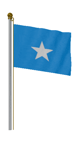 Somalia Hold Pole animated flag GIF