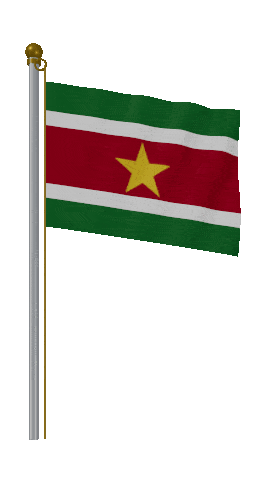 Suriname Hold Pole animated flag GIF