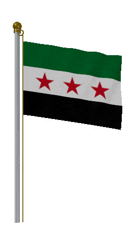 Syria Hold Pole animated flag GIF