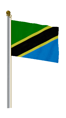 Tanzania Hold Pole animated flag GIF