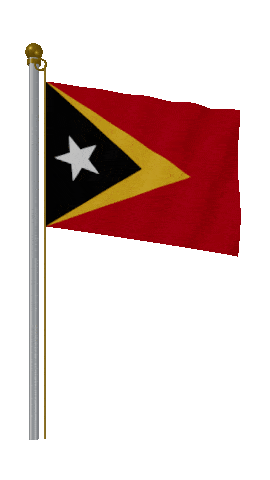 Timor Leste Hold Pole animated flag GIF