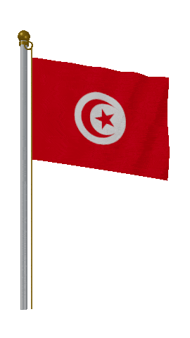 Tunisia Hold Pole animated flag GIF
