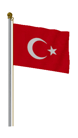 Turkey Hold Pole animated flag GIF