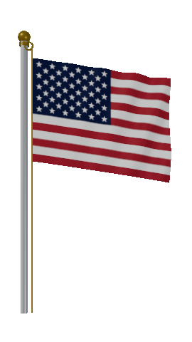 Hold Pole US flag GIF