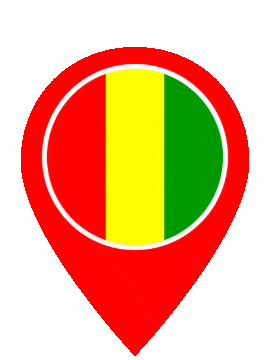 Guinea Pin Bounce animated flag GIF