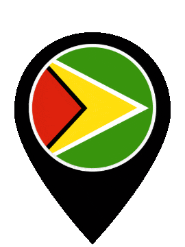 Guyana Pin Bounce animated flag GIF