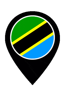 Tanzania Pin Bounce animated flag GIF