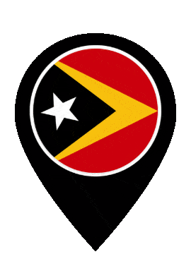 Timor Leste Pin Bounce animated flag GIF