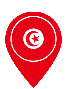 Tunisia Pin Bounce animated flag GIF