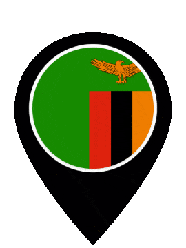 Zambia Pin Bounce animated flag GIF