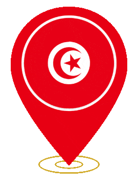 Tunisia Pin Heartbeat animated flag GIF