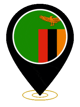 Zambia Pin Heartbeat animated flag GIF