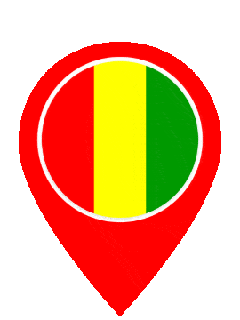 Guinea Pin Pulse animated flag GIF
