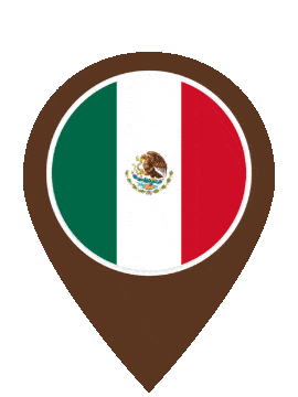 Mexico Pin Pulse animated flag GIF