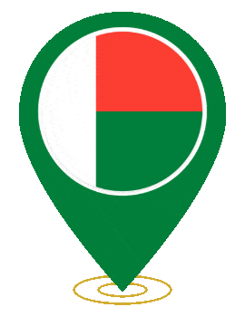 Madagascar Pin Ring Pulse animated flag GIF
