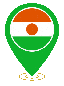 Niger Pin Ring Pulse animated flag GIF