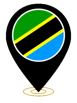 Tanzania Pin Ring Pulse animated flag GIF