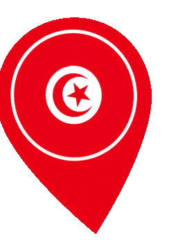 Tunisia Pin Wobble animated flag GIF