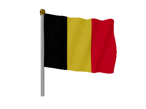Belgium Pole Fast Wind animated flag GIF