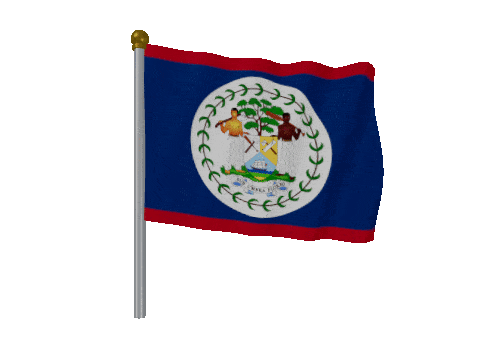 Belize Pole Fast Wind animated flag GIF