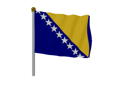Bosnia And Herzegovina Pole Fast Wind animated flag GIF