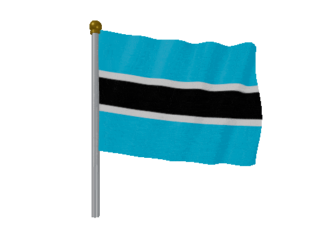 Botswana Pole Fast Wind animated flag GIF