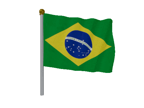 Brazil Pole Fast Wind animated flag GIF