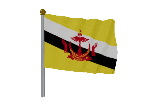 Brunei Pole Fast Wind animated flag GIF