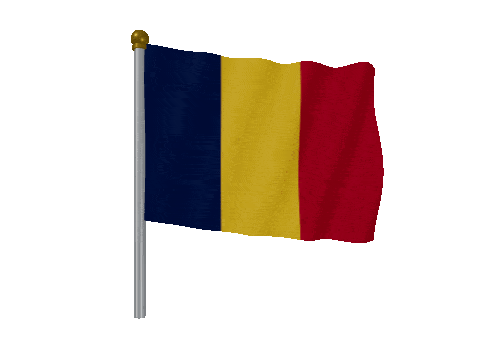 Chad Pole Fast Wind animated flag GIF