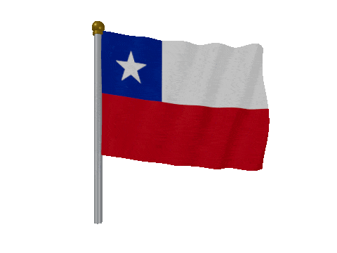 Chile Pole Fast Wind animated flag GIF
