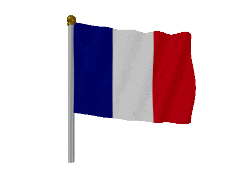 France Pole Fast Wind animated flag GIF