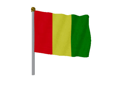 Guinea Pole Fast Wind animated flag GIF