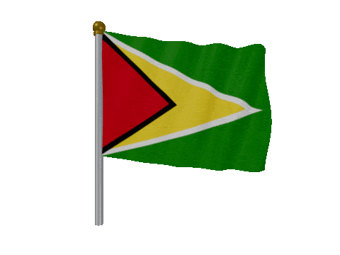 Guyana Pole Fast Wind animated flag GIF