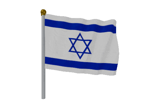Israel Pole Fast Wind animated flag GIF