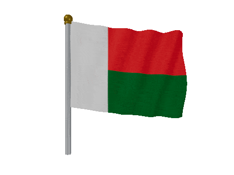 Madagascar Pole Fast Wind animated flag GIF