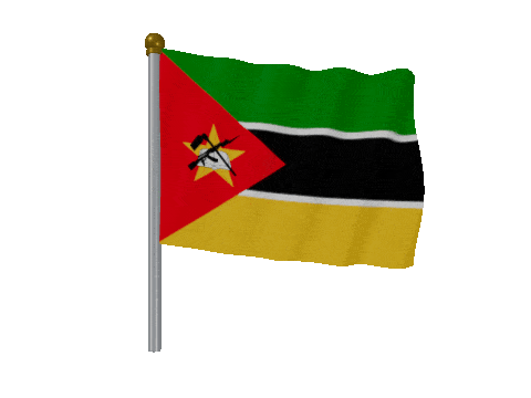 Mozambique Pole Fast Wind animated flag GIF