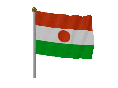 Niger Pole Fast Wind animated flag GIF