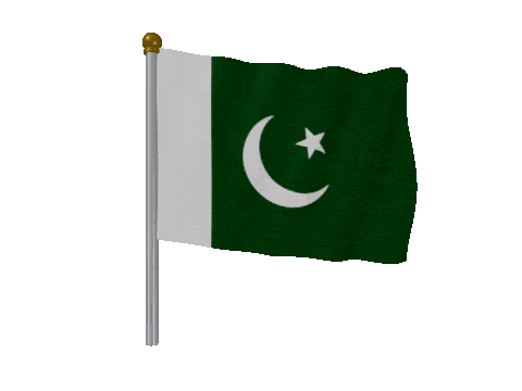 Pakistan Pole Fast Wind animated flag GIF