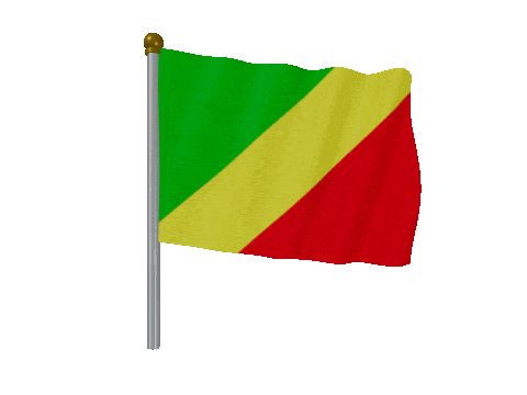Republic Of The Congo Pole Fast Wind animated flag GIF