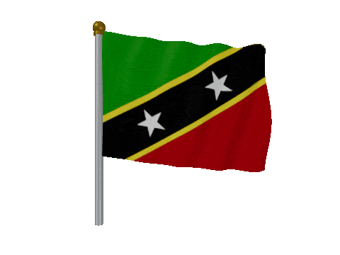 Saint Kitts And Nevis Pole Fast Wind animated flag GIF